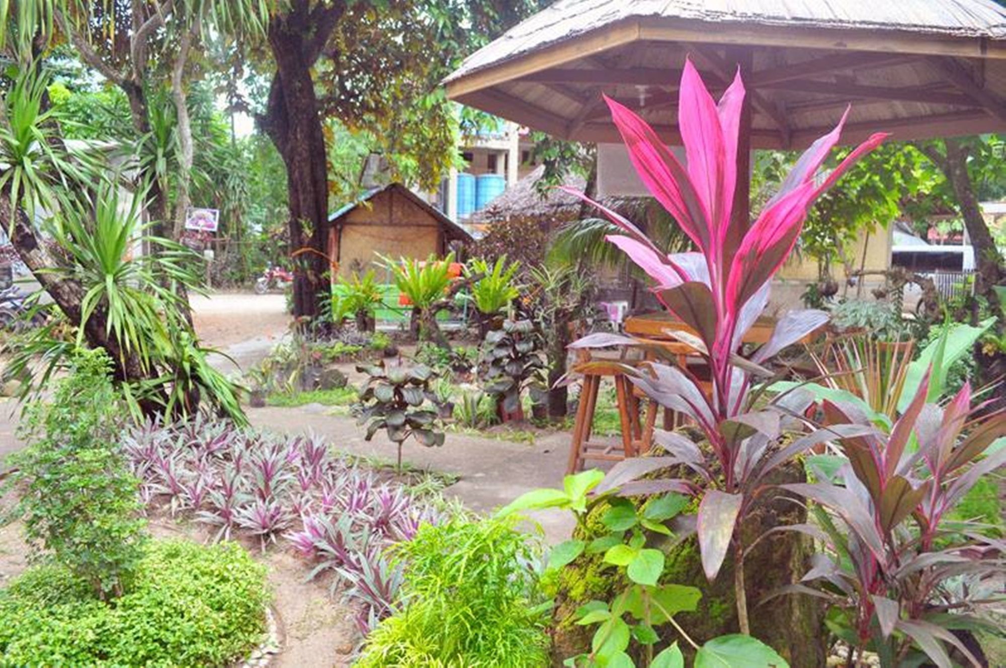 Peak House Garden Pension El Nido Exteriör bild